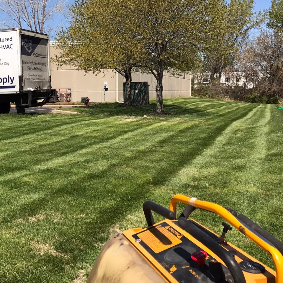 Wide commercial lawn cut into clean mower stripes