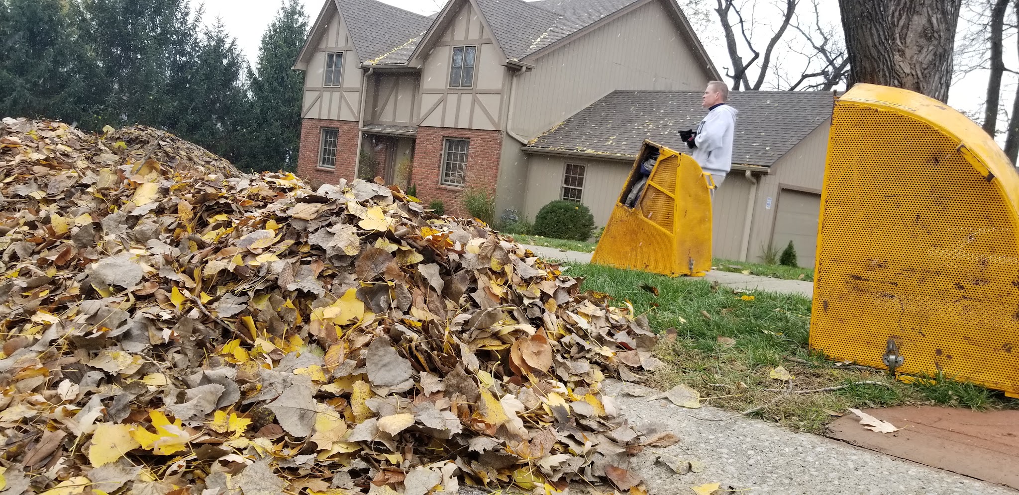 Leaf vacuum rig beside a large kerbside pile of leaves