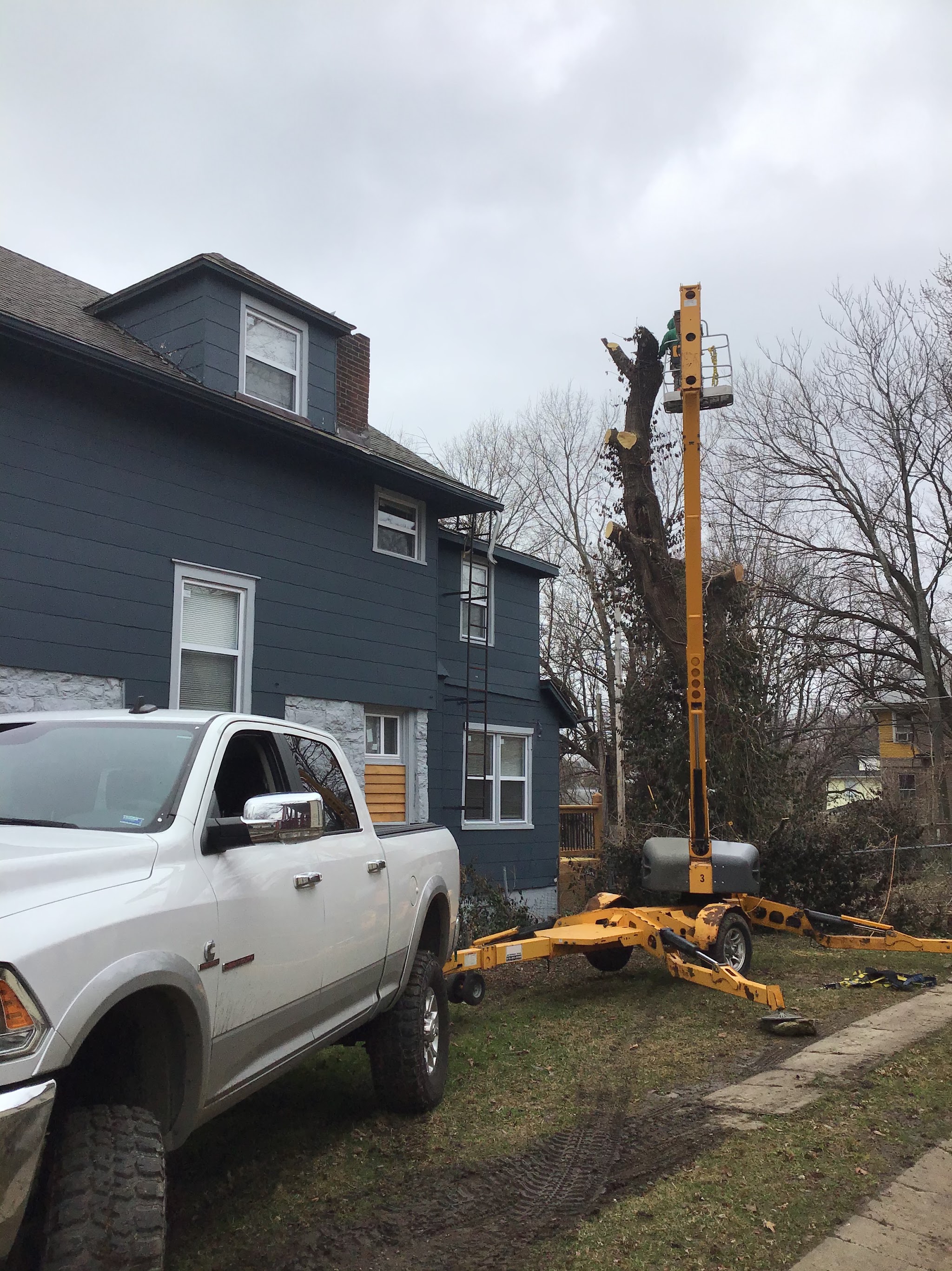 Tree removal underway using a towable boom lift